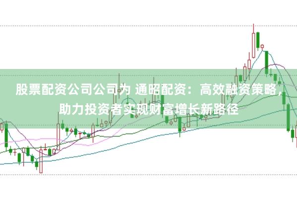 股票配资公司公司为 通昭配资：高效融资策略，助力投资者实现财富增长新路径