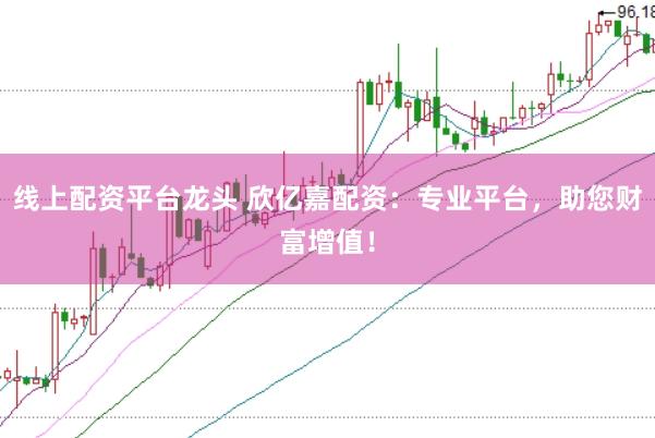 线上配资平台龙头 欣亿嘉配资：专业平台，助您财富增值！