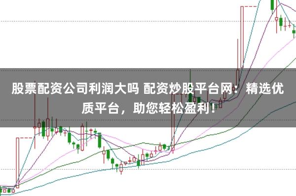 股票配资公司利润大吗 配资炒股平台网：精选优质平台，助您轻松盈利！
