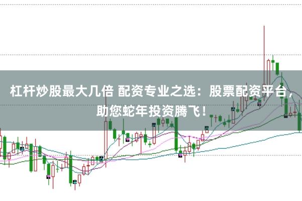 杠杆炒股最大几倍 配资专业之选：股票配资平台，助您蛇年投资腾飞！
