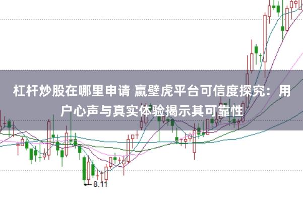 杠杆炒股在哪里申请 赢壁虎平台可信度探究：用户心声与真实体验揭示其可靠性