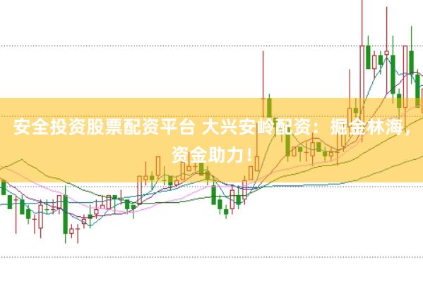 安全投资股票配资平台 大兴安岭配资：掘金林海，资金助力！