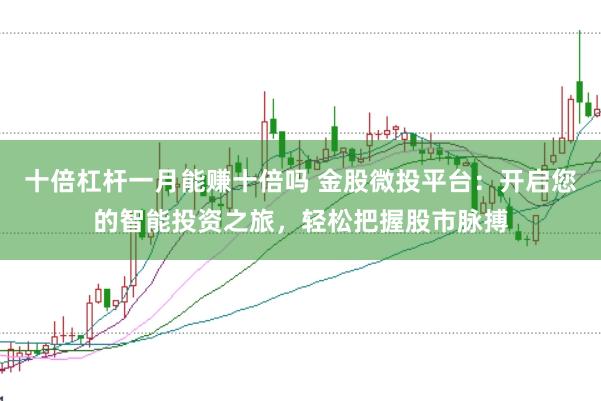 十倍杠杆一月能赚十倍吗 金股微投平台：开启您的智能投资之旅，轻松把握股市脉搏