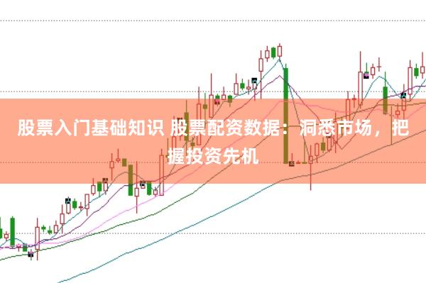 股票入门基础知识 股票配资数据：洞悉市场，把握投资先机
