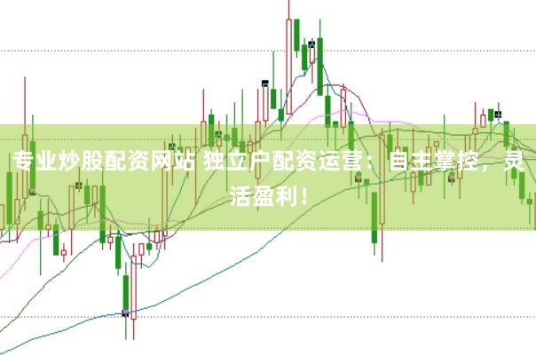 专业炒股配资网站 独立户配资运营：自主掌控，灵活盈利！
