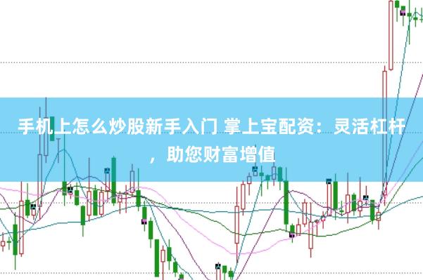 手机上怎么炒股新手入门 掌上宝配资：灵活杠杆，助您财富增值