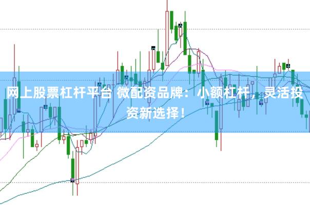 网上股票杠杆平台 微配资品牌：小额杠杆，灵活投资新选择！