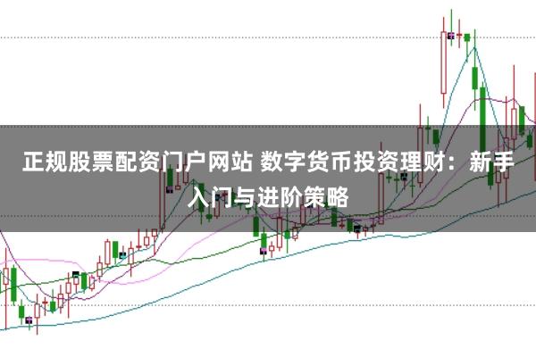 正规股票配资门户网站 数字货币投资理财：新手入门与进阶策略