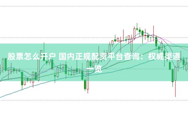 股票怎么开户 国内正规配资平台查询：权威渠道一览